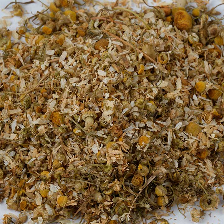 Manzanilla - Image 3