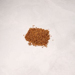 Semillas de Cilantro (Coriandro)